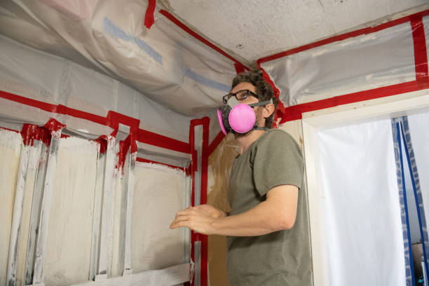 Professional Mold Removal in Menahga, MN