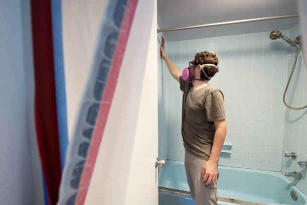 Best Mold Remediation for Vacation Homes  in Menahga, MN