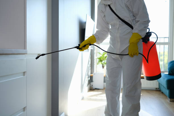Mold Remediation for Vacation Homes in Menahga, MN
