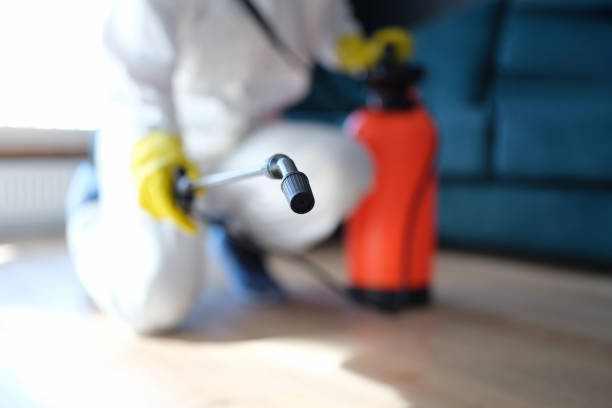 Best Crawl Space Mold Remediation  in Menahga, MN