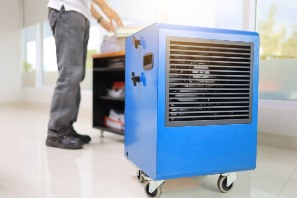 Mold Removal for HVAC Installations in Menahga, MN