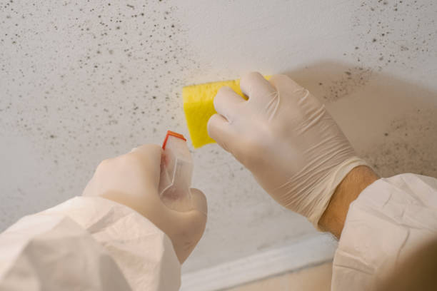 Best Indoor Air Quality Assessment  in Menahga, MN