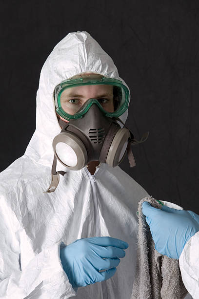 Best Mold Prevention Services  in Menahga, MN